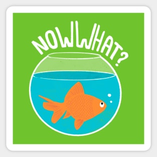 Now What? Sticker